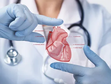 Cardiology