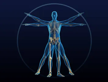 Physiology